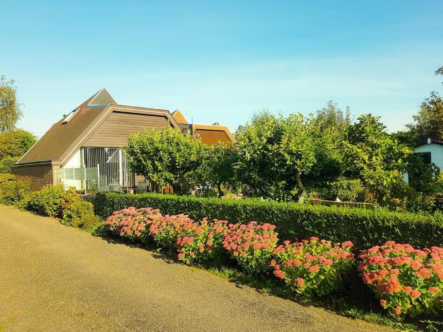 דירות Opmeer Lovely House Till 6 P. Near Amsterdam, Sea מראה חיצוני תמונה
