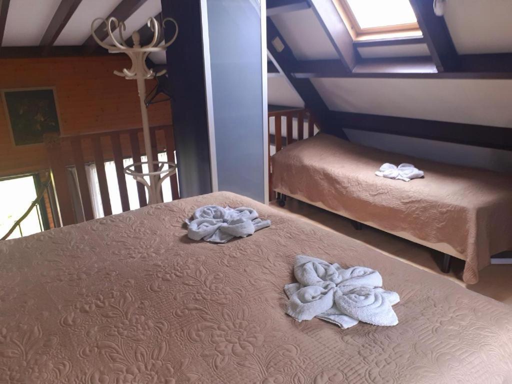 דירות Opmeer Lovely House Till 6 P. Near Amsterdam, Sea מראה חיצוני תמונה